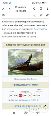 костенурки