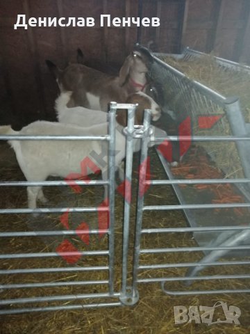Прегради за овце и кози, снимка 10 - За селскостопански - 34655271