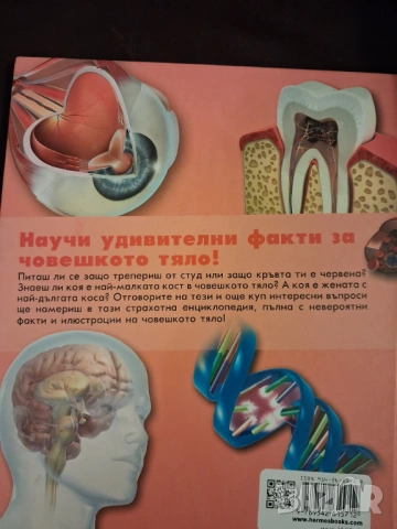 Детска енциклопедия за човешкото тяло, снимка 2 - Детски книжки - 53235361