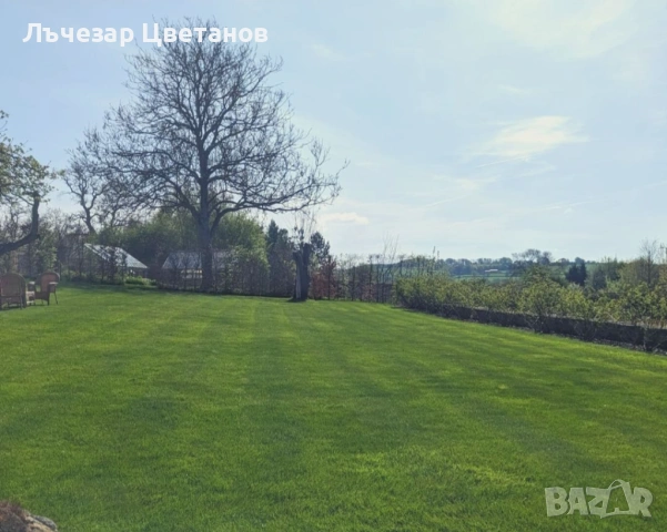 Поддръжка на дворове - Пловдив и региона, снимка 4 - Почистване на домове - 53762581