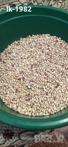 Шарен боб от Родопите 