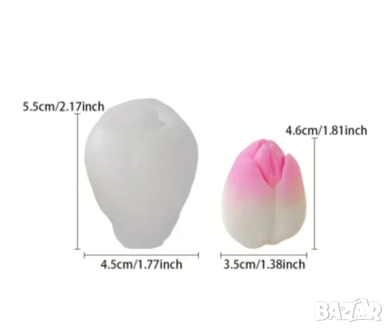 Молдове лалета 2 вида , снимка 2 - Форми - 50741662