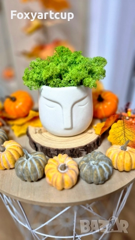 Кашпа със скандинавски мъх , снимка 4 - Арт сувенири - 52339040