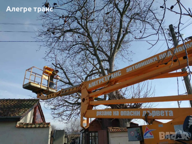 Рязане на дървета Пловдив и околието