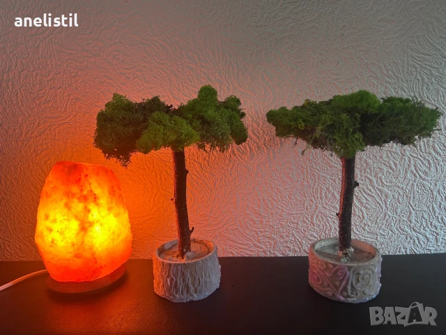 Уникални ръчно изработени дръвчета/бонсаи от скандинавски мъх, снимка 3 - Други - 50942869