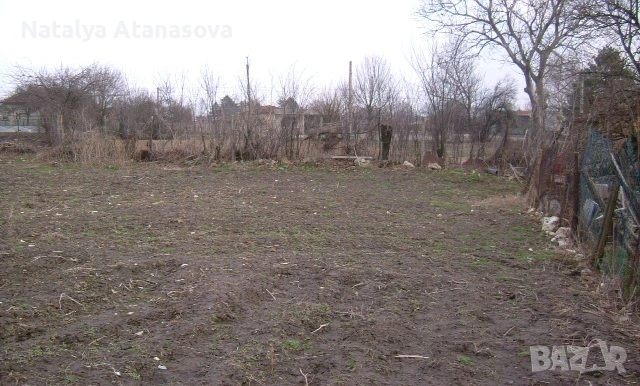 Парцел за продажба в Полковник Минково, Добрич, снимка 4 - Парцели - 53634741