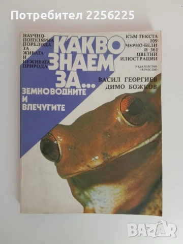 Какво знаем за земноводните и влечугите 