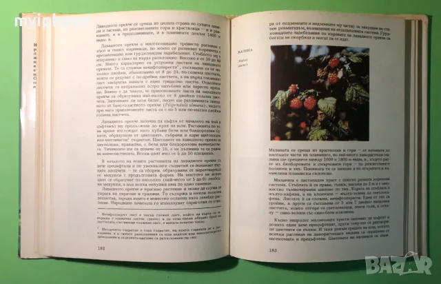 Стара Книга Атлас по Ботаника/Сл.Петров,Е.Паламарев, снимка 10 - Специализирана литература - 49279602