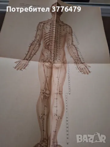 Ръководство по рефлексотерапии, снимка 4 - Специализирана литература - 47524203