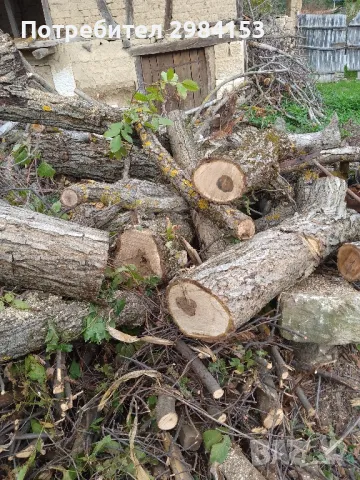 дървен материал орехи