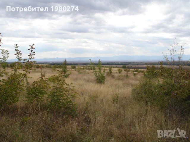 Земеделска земя 10,5 декара, 9 категория, снимка 8 - Земеделска земя - 50714759