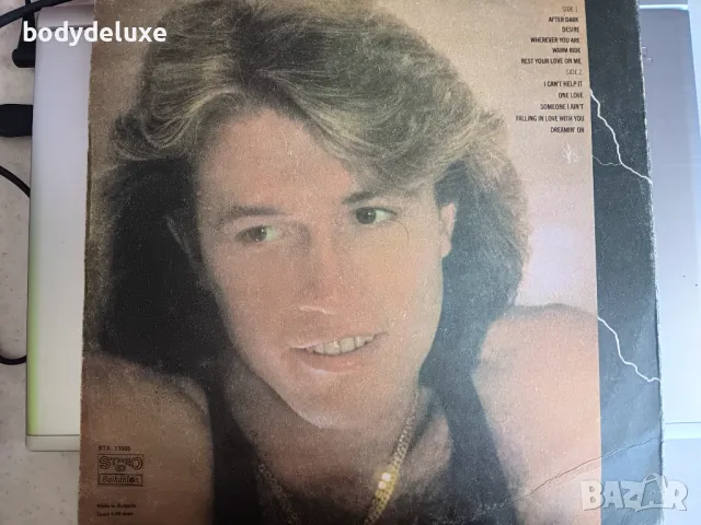 ANDI GIBB ''AFTER DARK" грамофонна плоча, снимка 2 - Грамофонни плочи - 50343264