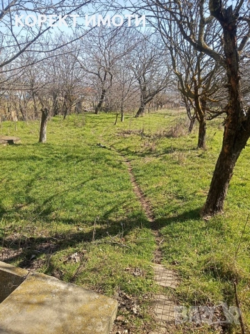 ПРОДАВА две КЪЩИ в един двор в село Върбак, снимка 16 - Къщи - 53823928