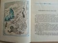 О квадратно-круглом лесе,Микке-Мяу и других - Ервин Лазар - 1985г., снимка 3