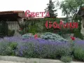гр.Созопол , студио, до плаж и борова гора, снимка 2