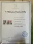 Абстрактни пана, снимка 2
