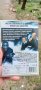 Хаос с Джейсън Стейтъм и Уесли Снайпс DVD , снимка 3
