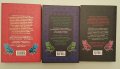 Робин Джарвис – „Танцуващият замък“ /комплект от три книги/ , снимка 5