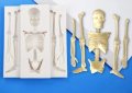 Скелет стави кости силиконов молд форма за декор украса торта фондан шоколад гипс, снимка 3
