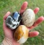 Яйца от оникс,мрамор и фосил, снимка 1 - Други - 40450849