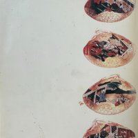 По следите на четката. Японската лирическа проза X-XIV век Цветана Кръстева, снимка 4 - Художествена литература - 41877467