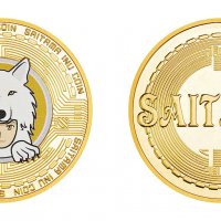 Саитама Ину монета / Baby Saitama Inu coin ( BABYSAITAMA ) - Gold, снимка 1 - Нумизматика и бонистика - 39674993