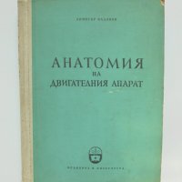 Книга Анатомия на двигателния апарат - Димитър Каданов 1957 г., снимка 1 - Специализирана литература - 35793584