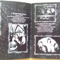Various – Ladies, Queens & Sluts (1999, CD), снимка 4 - CD дискове - 41148482
