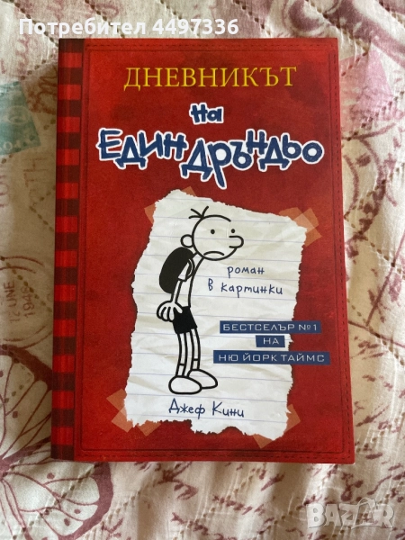 7 детски и тийн книги - „Тайната градина", „Двойната Лотхен", „Дневникът на един Дръндьо" и още!, снимка 1