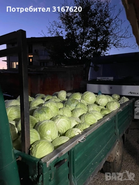 Зеле, снимка 1