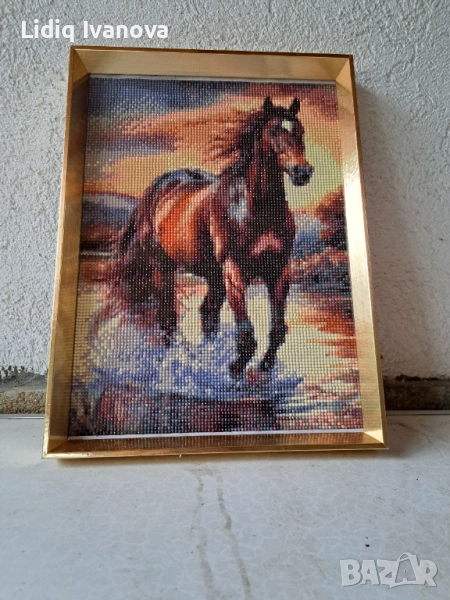 Диамантен гоблен кон-готов и рамкиран, снимка 1