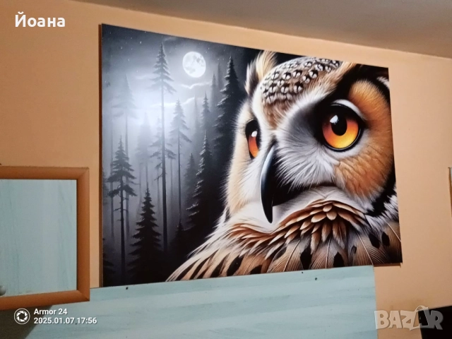 Пвц пана 5мм дебелина за декорация у дома със закачалка без пробиване, снимка 9 - Пана - 52386550