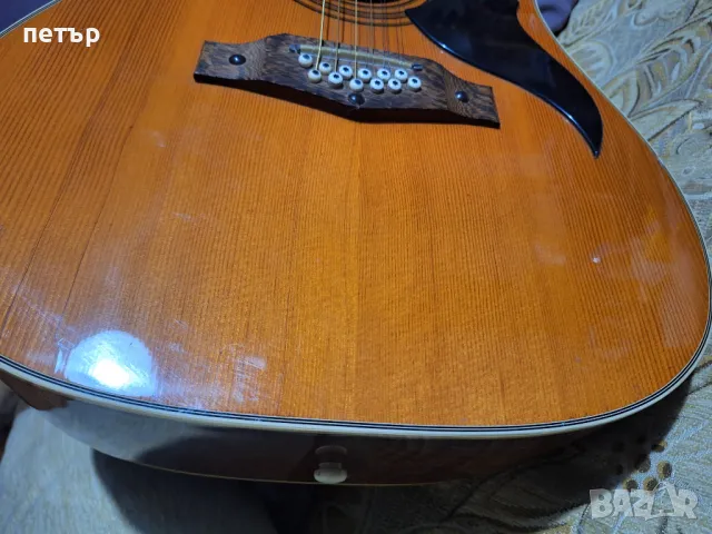 Класическа 12струнна китара ЕКО, снимка 10 - Китари - 48349678