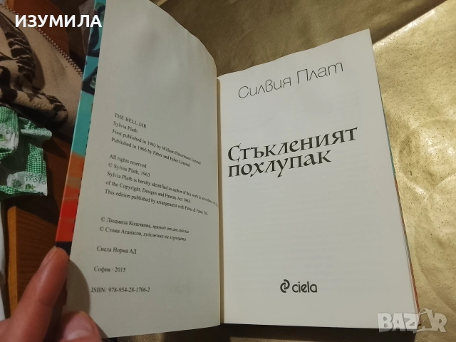 Стъкленият похлупак - Силвия Плат, снимка 6 - Художествена литература - 53343132