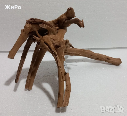 Корен от Азалия /декорация/ 15, снимка 4 - Други - 48578079