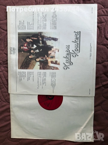 Грамофонни плочи, снимка 6 - Грамофонни плочи - 53701703