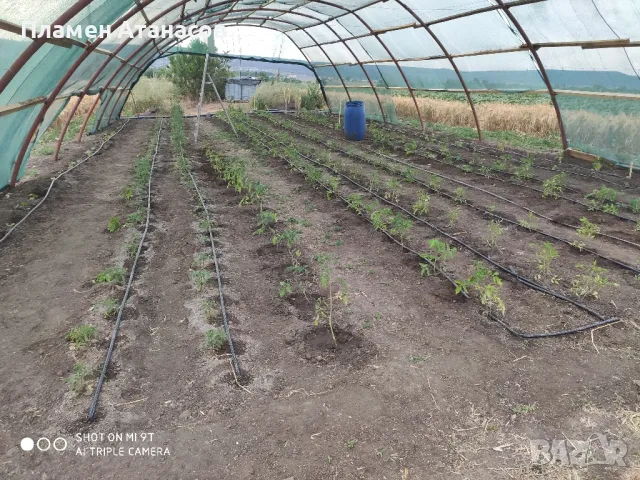 Холандско хале конструкция , снимка 7 - Складове - 47624110