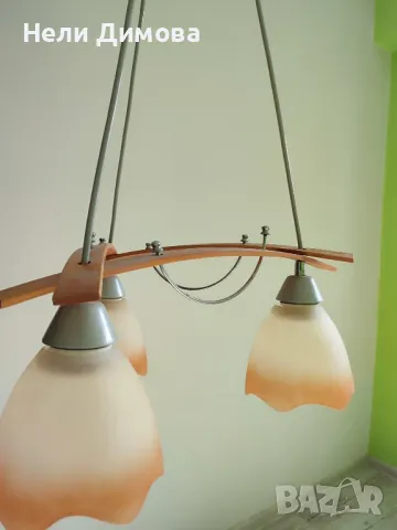 два полилея за 30 лв., снимка 3 - Полилеи - 49330938