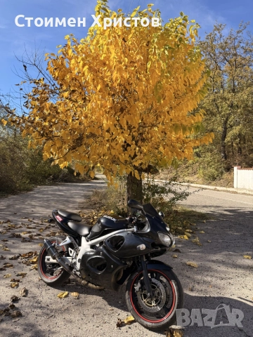 Suzuki Sv650 2001