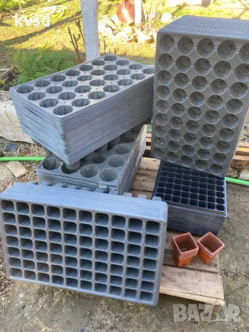 Тава за разсад , снимка 2 - Разсади - 48881770