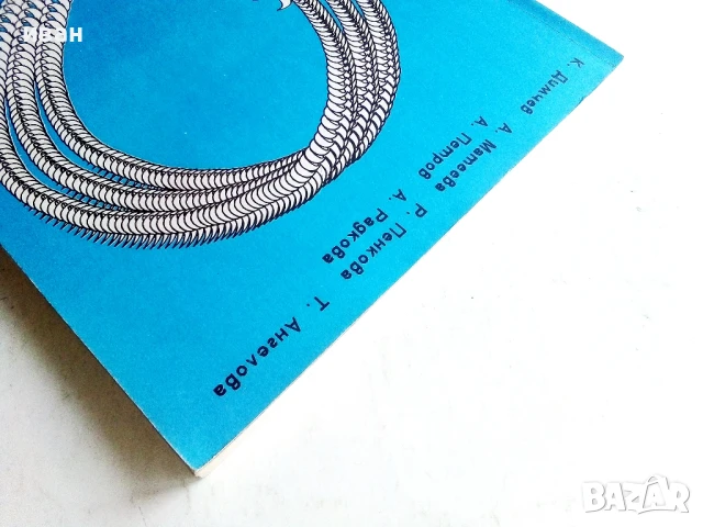 666 тестови задачи по Български език за 7. и 8.клас - Колектив - 1992г., снимка 7 - Учебници, учебни тетрадки - 50580790