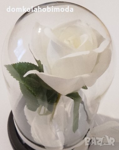 Изкуствена роза под стъклен похлупак, Дървена основа,Бяла, 17x11 см, снимка 3 - Други - 35761389