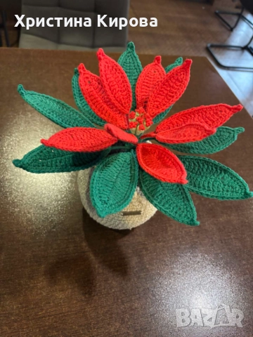 Коледна звезда