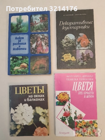 Цветя през пролетта и лятото - Маргарита Динова, Недялка Николова