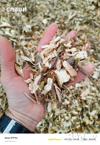 Дървесен чипс / Мулч / Черница 