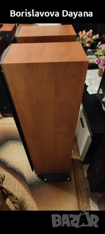 тонколони Triangle Antal ES, снимка 6 - Тонколони - 53026131