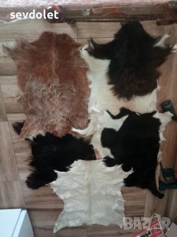 Естествени,интериорни кози кожи--2 бр..Обявената цена е за всичките., снимка 3 - Други ценни предмети - 47348386
