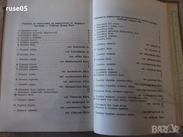 Книга "Екскурзионна флора на България-Стою Вълев" - 736 стр., снимка 7 - Енциклопедии, справочници - 36312417