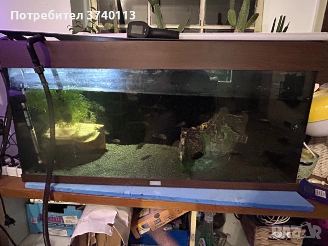 Акариум juwel