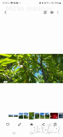 Продава се , снимка 7 - Земеделска земя - 52515931